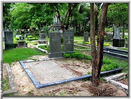 Bild: L. Palitha Mendis (04/2008)