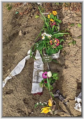 Bild: Gnter Bihn (04/2024)