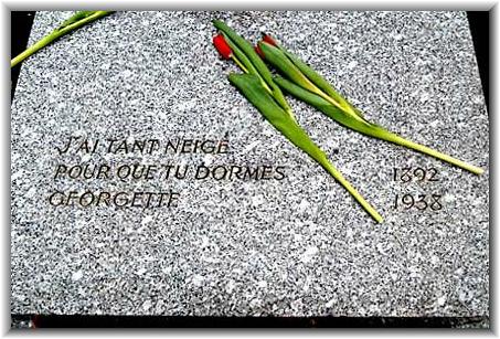 Bilder: Herbert Herterich (04/2013)